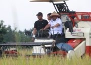 Kendalikan Inflasi, Pemkab Probolinggo Lakukan Panen Raya Padi