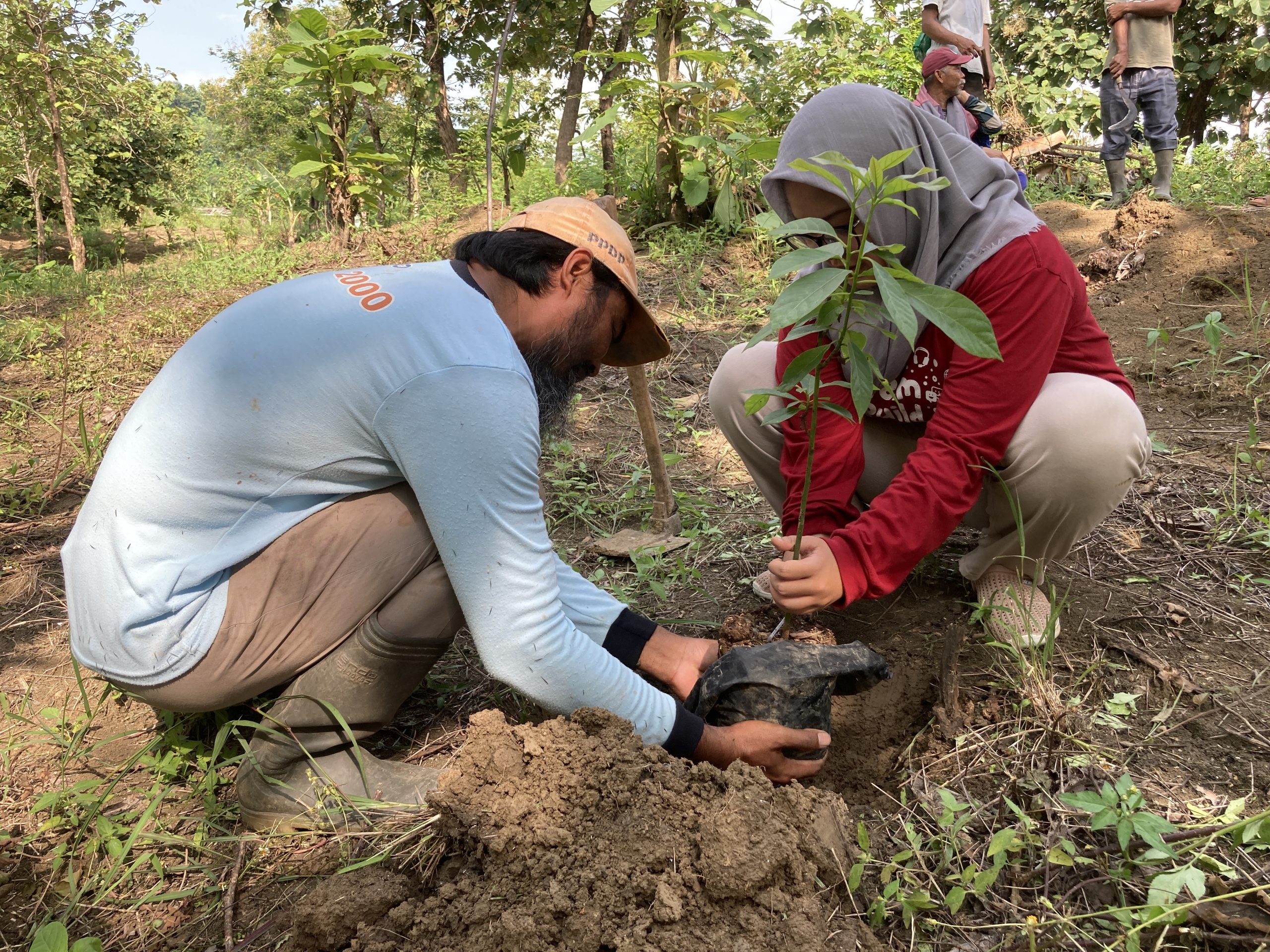 Ahmad Rozin (kiri) mitra petani LindungiHutan di Jabungan, Semarang.