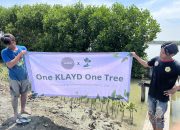 KLAYD Tanam 815 Mangrove Dukung Pelestarian Lingkungan di Kawasan Hutan Mangrove Ambulu Kabupaten Cirebon