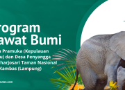 LindungiHutan Kembali Mengajak Brand dan Perusahaan Terlibat Program Rawat Bumi untuk Keberlanjutan Lingkungan