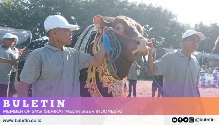 Tingkatkan Kualitas Ternak, Situbondo Ingin Tetap Jadi Lumbung Ternak