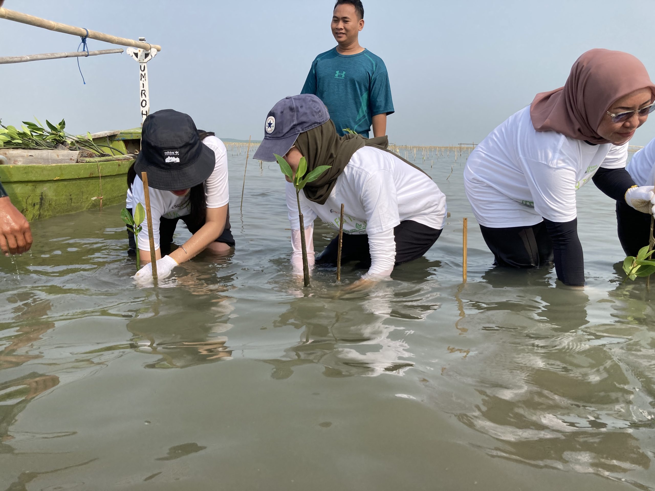 Aksi nyata kegiatan penghijauan PT Esta Dana Ventura.