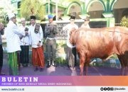 Plh Bupati Probolinggo Serahkan Seekor Sapi Kepada Takmir Masjid Agung Ar-Raudlah