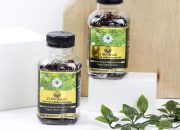 Kenapa Harus Memilih Habbatussauda EL Medinah?