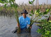 Upaya Keberlanjutan LindungiHutan di Tambakrejo, Kota Semarang