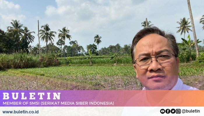 Ketersediaan Beras di Kabupaten Malang, DTPHP: Dinyatakan Masih Aman