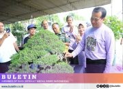 Kontes Bonsai, Tabulampot Anggur dan Pameran Produk Unggulan Pertanian Warnai Semipro 2024
