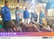 Disperta Kabupaten Probolinggo Bidang Kesehatan Hewan dan Masyarakat Kunjungi Kandang Sapi Milik Manito