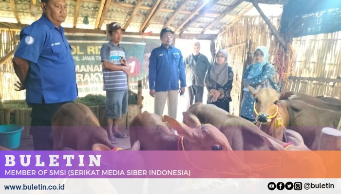 Disperta Kabupaten Probolinggo Bidang Kesehatan Hewan dan Masyarakat Kunjungi Kandang Sapi Milik Manito