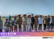 Pemkab Probolinggo Lakukan Gerakan Tanam Padi Biofortifikasi