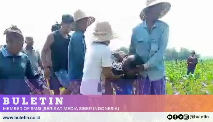 Petani di Pamekasan Ditemukan Tak Bernyawa Setelah Pamit Siram Tembakau 