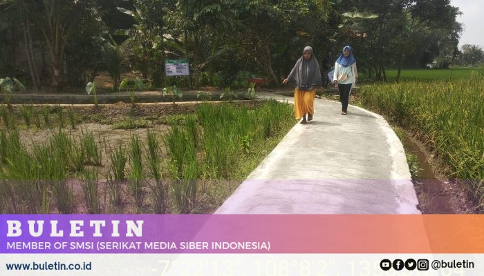 PemDes Sukarame Alokasikan DD Tahap 2, Bangun TPT dan Rabat Beton