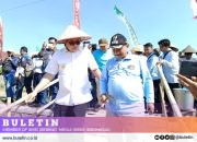 Bupati Situbondo bersama Pj Gubernur Jatim Panen Raya Padi BK 01 Agritan