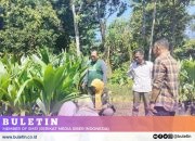 Diperta Probolinggo Lakukan Monitoring Bantuan Benih Kelapa Genjah