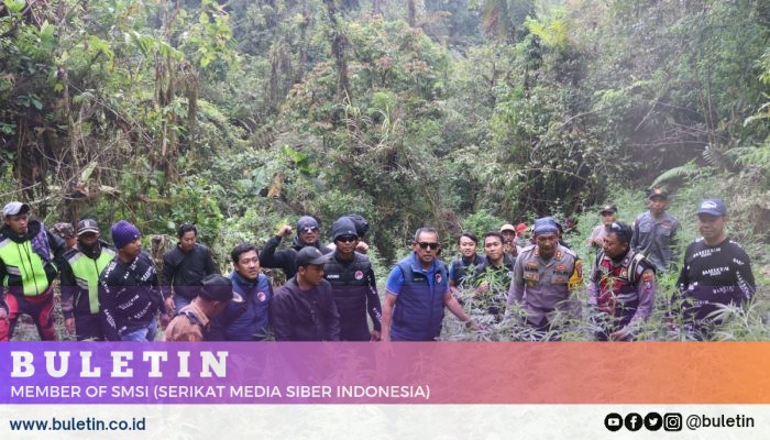 Tim Gabungan Polda Jatim Temukan Ladang Ganja di TNBTS Lumajang, Ribuan Batang Diamankan