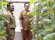 Pjs. Bupati Blitar Jumadi Tinjau Budidaya Melon dari Petani Milenial di Wates