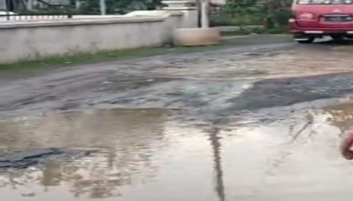 Warga Keluhkan Jalan Poros Kabupaten Jember di Desa Nogosari Rusak Parah