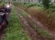 Infrastruktur Jalan Tak Diaspal, Ibu Muda di Jember Melahirkan di Tengah Perkebunan