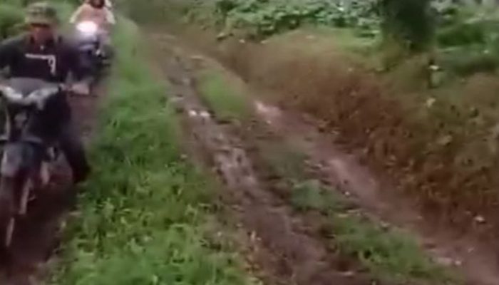 Infrastruktur Jalan Tak Diaspal, Ibu Muda di Jember Melahirkan di Tengah Perkebunan