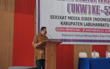SMSI