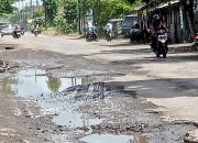 Keluhan Warga Jember Terkait Jalan Rusak Tak Digubris, PT. Imasco Tutup Telinga