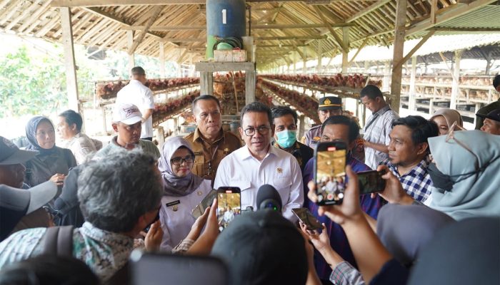 Jelang Ramadhan, Mendag Pastikan Pasokan Telur Ayam Aman