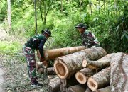 Satgas TMMD 123 Kodim Bondowoso Angkut Kayu Balok