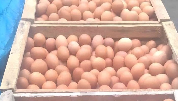 Jelang Ramadhan, Harga Telur di Pamekasan Mulai Naik