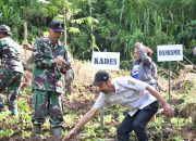 Aksi Tanam Pohon TMMD 123 Kodim 0822 Bondowoso di Desa Gunosari