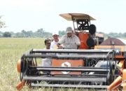 Harga Gabah di Jember Anjlok, DPRD Angkat Suara
