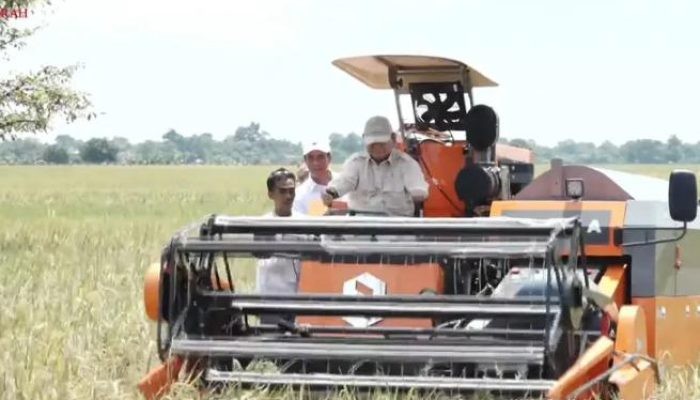 Harga Gabah di Jember Anjlok, DPRD Angkat Suara