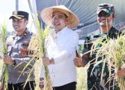 Panen Raya Padi di Desa Lojejer Gus Fawait Ajak Forkopimda Awasi Ketersediaan Pupuk di Jember
