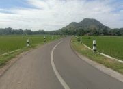 Perbaikan Jalan Berlubang di Jember, PUBMSDA Jember:Cepat dan Sesuai Standar