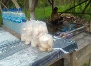 Pedagang Legen di Rembang Kesulitan Panen saat Musim Hujan