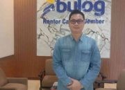 Serap Gabah dan Beras Petani Sepanjang Tahun, Bulog Jember Hidupkan Kembali 10 Penggilingan Padi Masyarakat