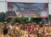 Kapolres Jember Ikut Panen Raya dan Tanam Jagung di Lojejer Wuluhan