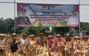 Jember