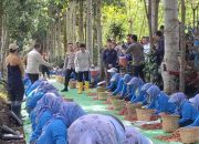 Petani Kopi Bondowoso Sampaikan Harapan kepada Wapres Gibran Saat Petik Kopi di Kalisat Jampit