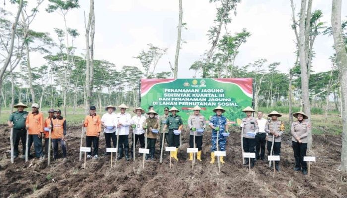 Dukung Program Nasional Swasembada Pangan, Polres Jombang Gelar Penanaman Jagung Serentak
