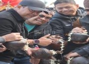 Bupati Probolinggo Gaungkan Pesona Bromo di Wondrfest Bromo Sunset Musik dan Budaya 5