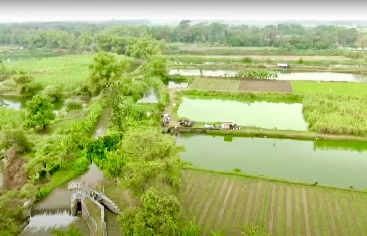 Transformasi Desa Rejoagung: Reforma Agraria dan Kebangkitan Ekonomi Berbasis Air