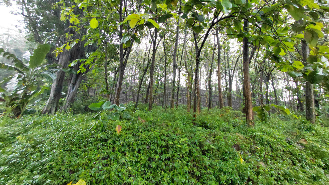Legenda Gunung Abang: Cerita Rakyat Sebagai Pengantar Pendidikan Karakter dan Penanaman Sikap Peduli Lingkungan