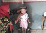 Pemdes Kauman Laksanakan Posyandu Semesta Integrasi Layanan Primer