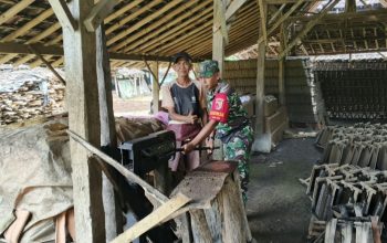 Babinsa Koncer Kidul Bondowoso Turun Langsung Bantu Warga Produksi Genteng