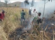 Karhutla Melanda Petak 87 Ijen Bondowoso, TNI-Perhutani Berjibaku Cegah Api Meluas