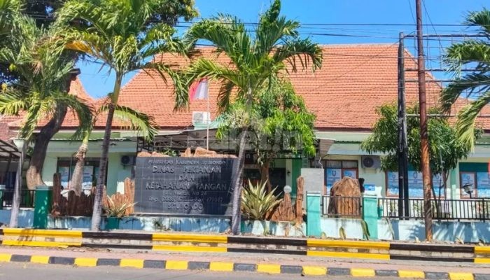 Bukan Bantuan Tunai, Rp16,3 Miliar DBHCHT Situbondo Dipakai Perkuat Pertanian