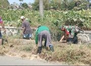 Babinsa Tegal Mijin Bondowoso Ikut Turun Tangan, Saluran Irigasi Dibersihkan dari Lumpur dan Rumput Liar