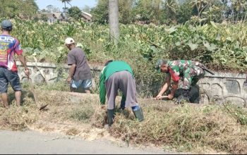 Babinsa Tegal Mijin Bondowoso Ikut Turun Tangan, Saluran Irigasi Dibersihkan dari Lumpur dan Rumput Liar