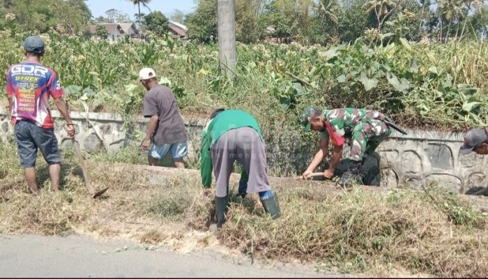 Babinsa Tegal Mijin Bondowoso Ikut Turun Tangan, Saluran Irigasi Dibersihkan dari Lumpur dan Rumput Liar